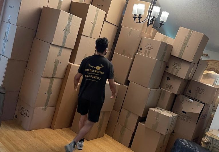 Simplify Your Move: How Ottawa's Packing and Moving Services Make Long-Distance Transitions a Breeze
