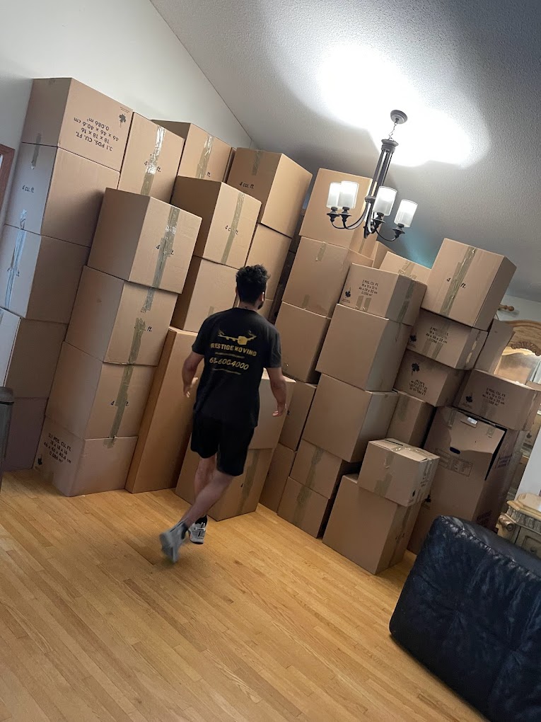Simplify Your Move: How Ottawa's Packing and Moving Services Make Long-Distance Transitions a Breeze